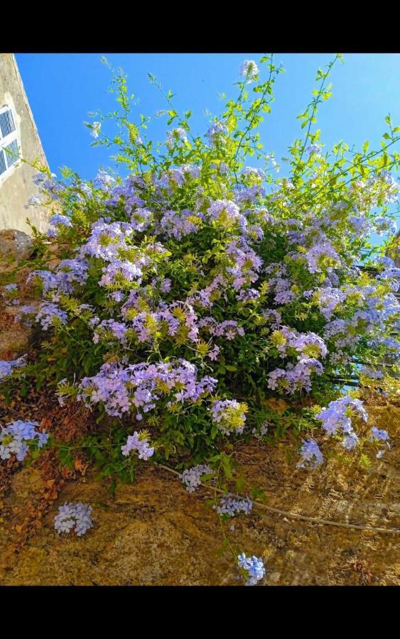 City Walls Sea View Corfu  ภายนอก รูปภาพ